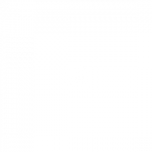 toyota-hover@2x
